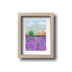 Lavender Field